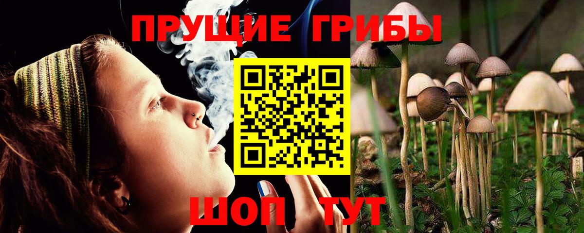 Мурино  Псилоцибиновые грибы мицелий  Вход с VPN 