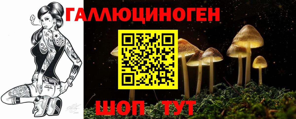 Галлюциногенные грибы Psilocybe Мурино